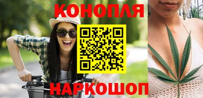 стаф Бузулук
